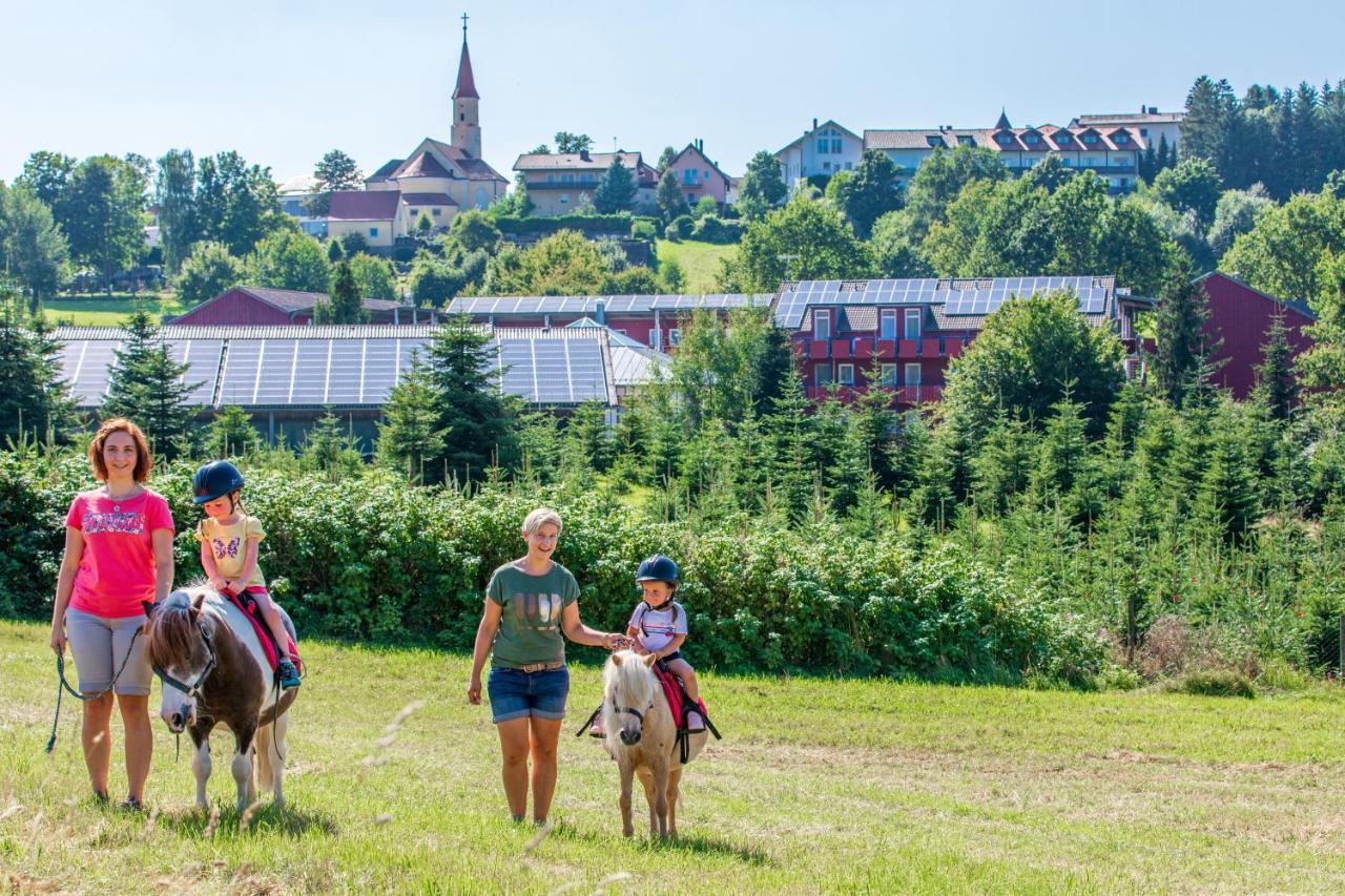 Familienhotel Reiterhof Runding ภายนอก รูปภาพ